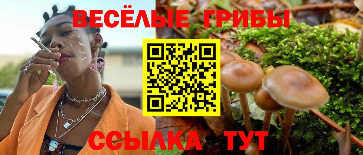 Псилоцибиновые грибы Magic Shrooms  Вход с VPN  Иваново 