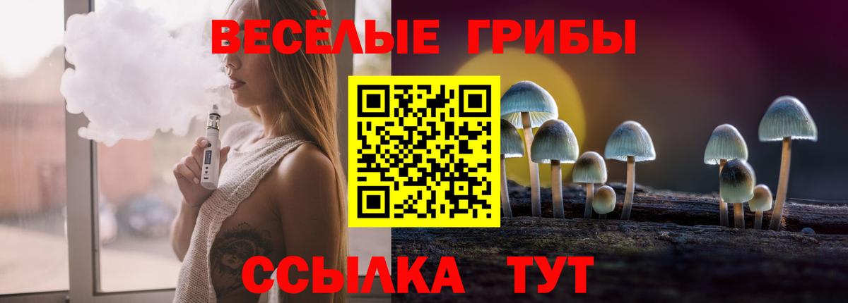 Псилоцибиновые грибы мухоморы Иваново